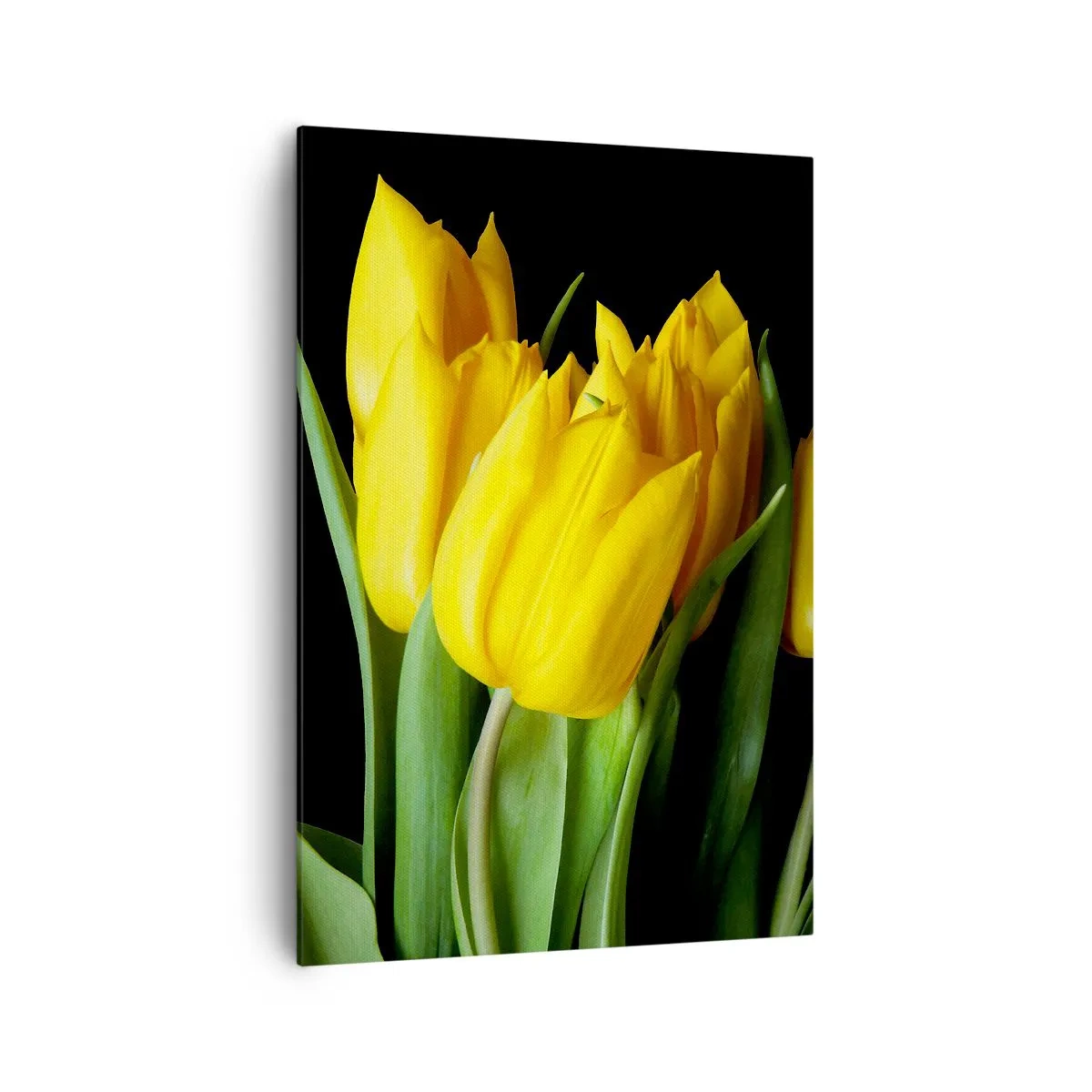Impression sur toile - Image sur toile - Un bouquet de tulipes jaunes sur fond noir - 70x100cm - Lever de soleil pur - Décoration murale moderne pour le salon et la chambre ARTTOR