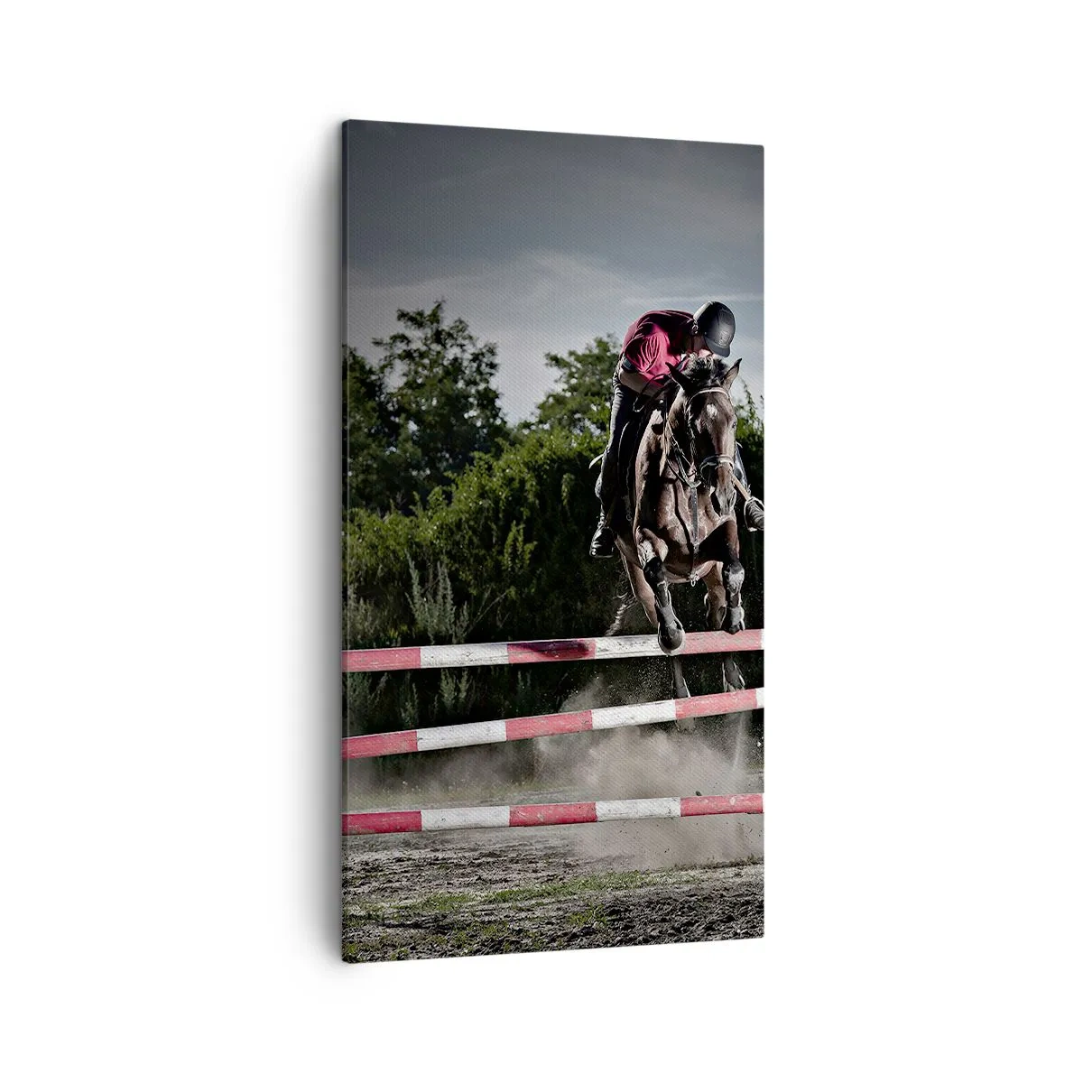 Impression sur toile - Image sur toile - Ensemble pour la victoire - 45x80 cm