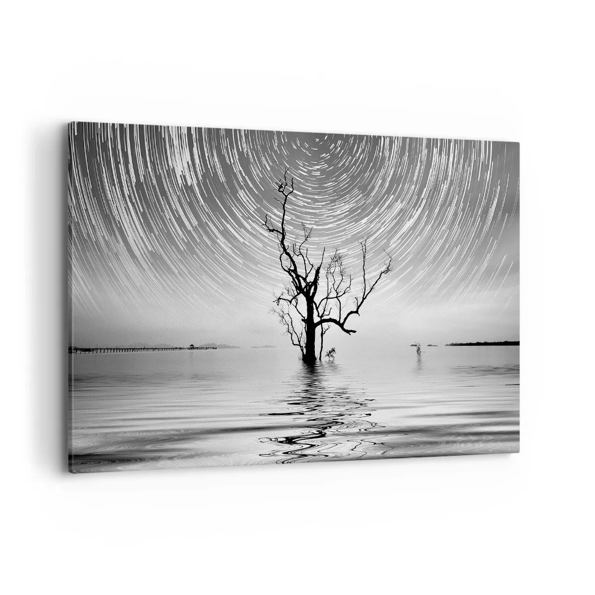 Impression sur toile - Image sur toile - Un arbre dans l'eau sous un ciel nocturne avec des étoiles en mouvement - 120x80cm - La symphonie de la nature - Décoration murale moderne pour le salon et la chambre ARTTOR