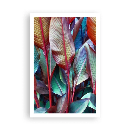 Affiche - Poster - Un fourré coloré - 61x91 cm
