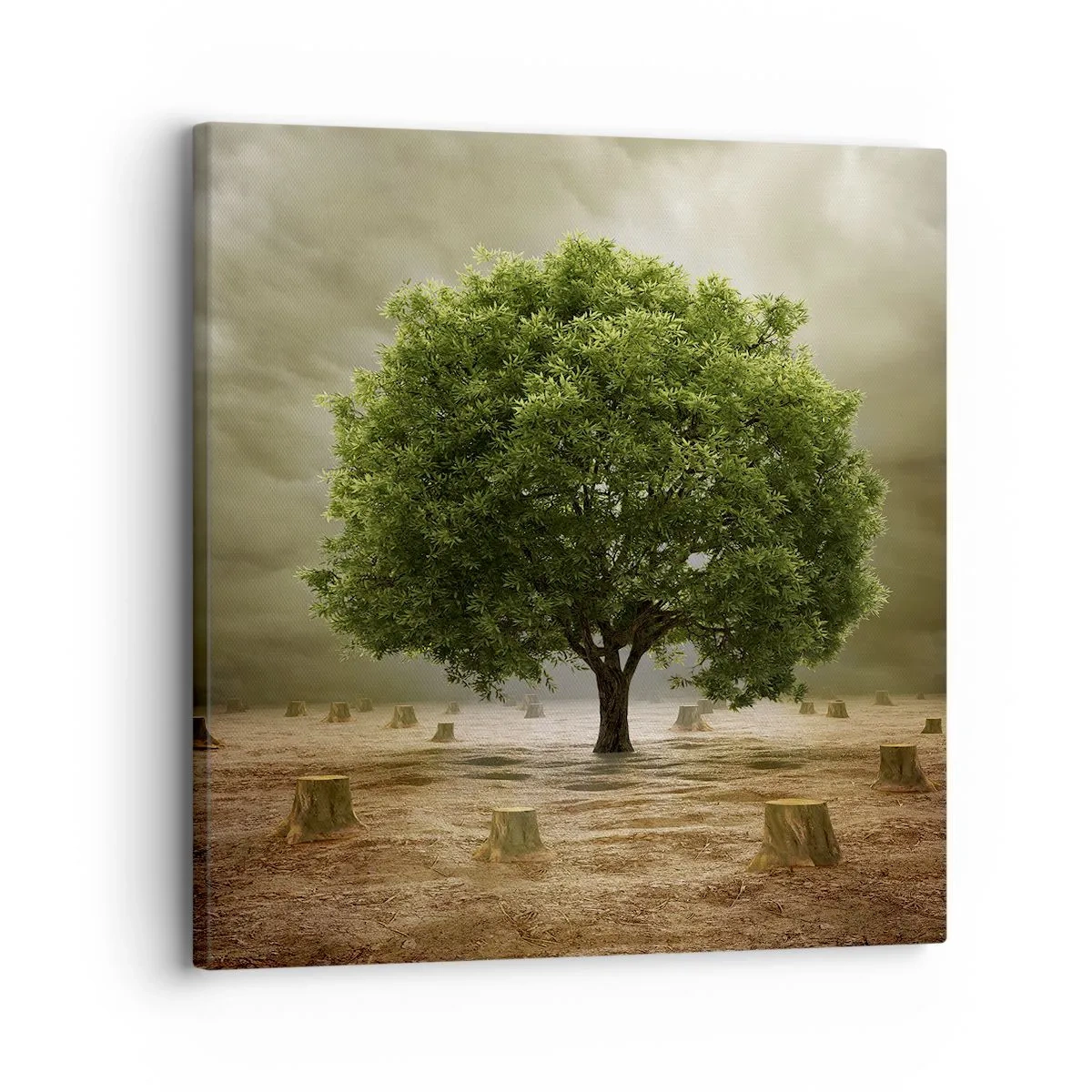 Impression sur toile - Image sur toile - Tout l'espoir - 30x30 cm