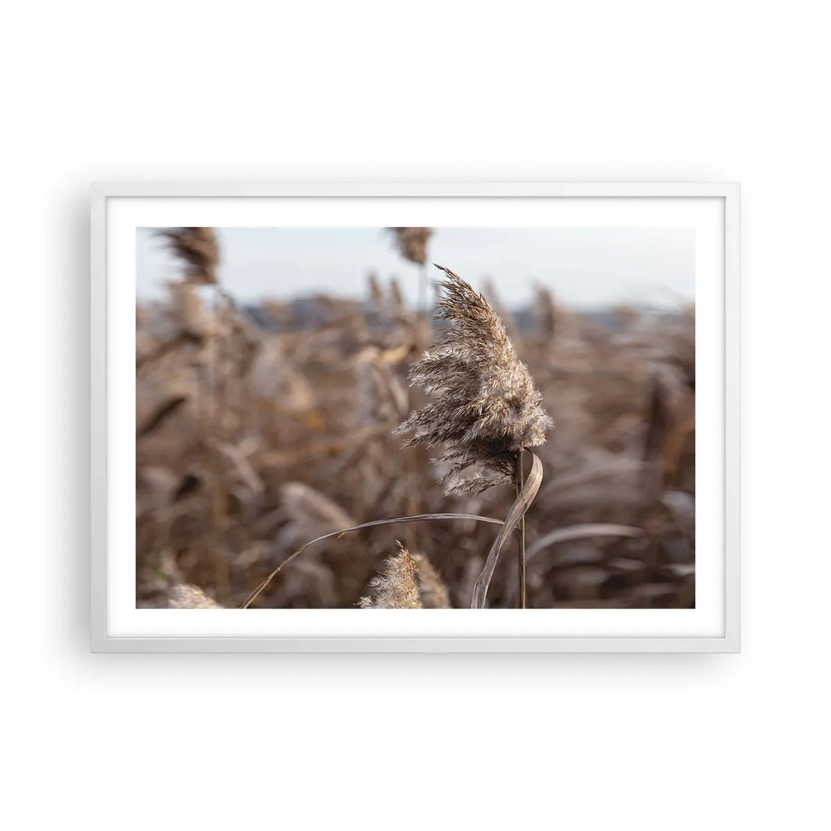 Affiche dans un cadre blanc - Poster - Il est temps de s'envoler avec le vent - 70x50 cm