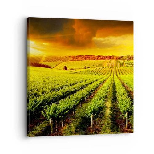 Impression sur toile - Image sur toile - Sous le soleil australien - 30x30 cm