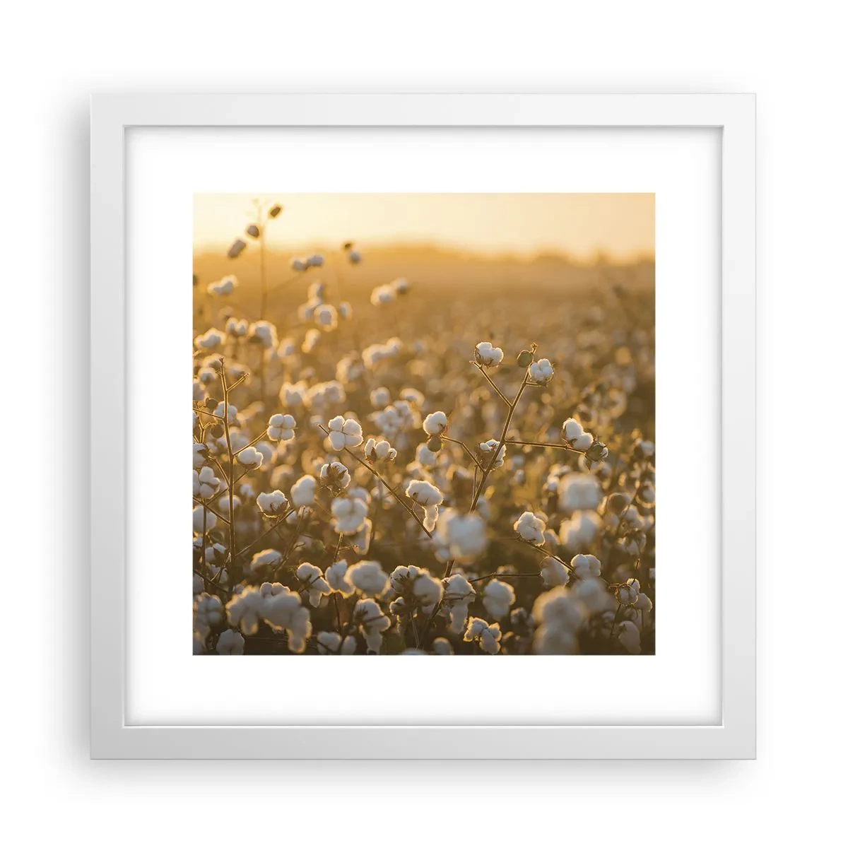 Affiche dans un cadre blanc - Poster - Champ moelleux - 30x30 cm