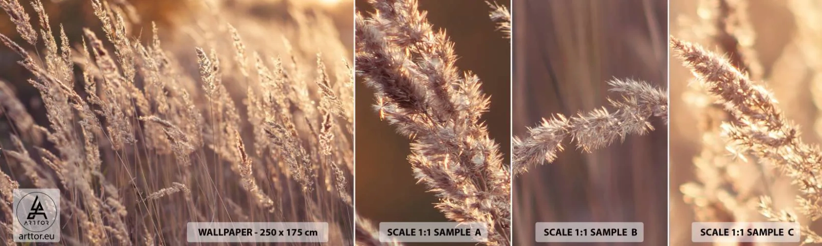 Échantillon de Papier Peint Autocollant Deluxe Sticker - Prêt à accueillir l'automne - Paysage, Épis de céréales, Prairie - 100x30 cm