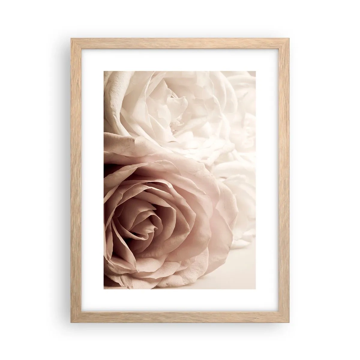 Affiche dans un chêne clair - Poster - Au coeur d'ue la rose - 30x40 cm