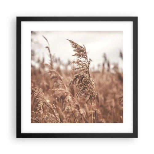 Affiche dans un cadre noir - Poster - C'est déjà l'automne dans les champs - 40x40 cm