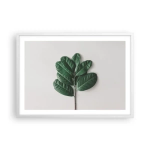 Affiche dans un cadre blanc - Poster - Dessin de la nature elle-même - 70x50 cm