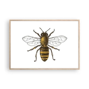 Affiche dans un chêne clair - Poster - Belle et bonne - 100x70 cm