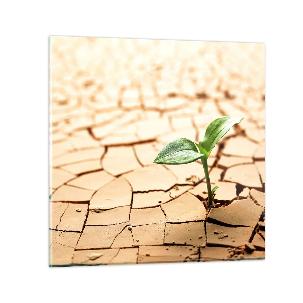 Impression sur verre - Image sur verre - La force indomptable de la vie - 30x30 cm