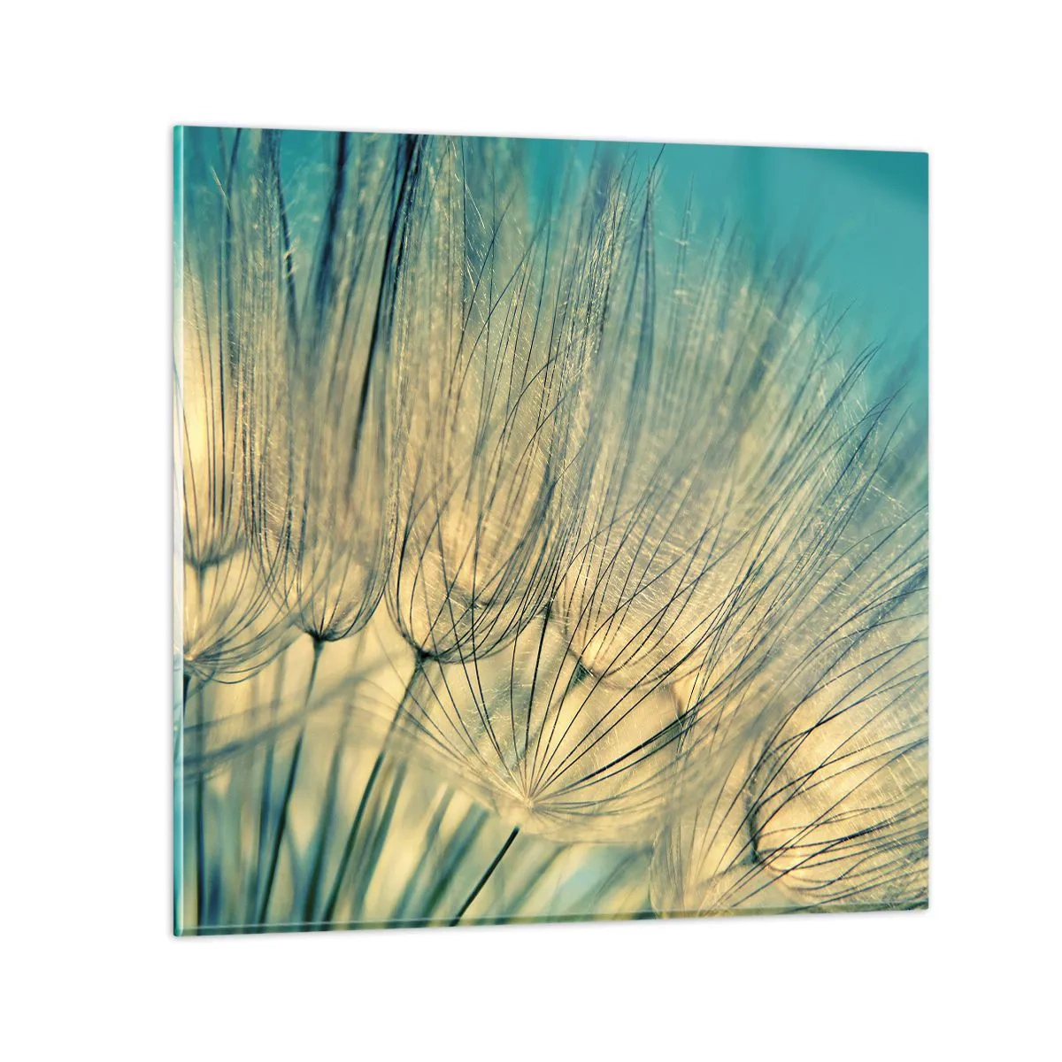 Impression sur verre - Image sur verre - En attente du vent - 70x70 cm