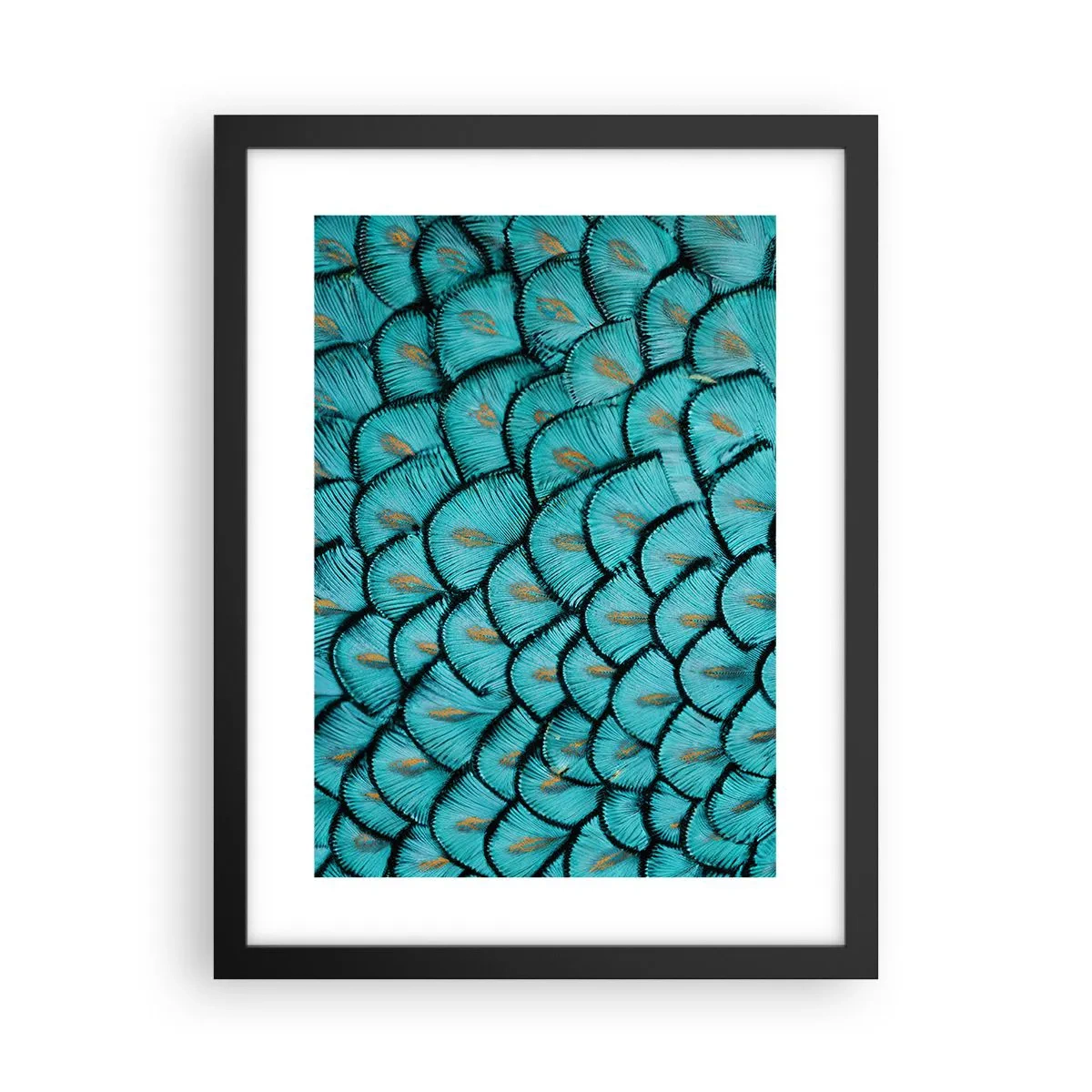Affiche dans un cadre noir - Poster - Le grand gala des plumes - 30x40 cm