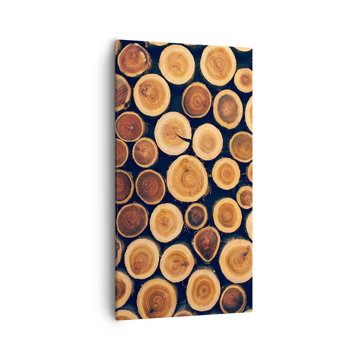 Impression sur toile - Image sur toile - Quel âge je semble avoir ? - 55x100 cm