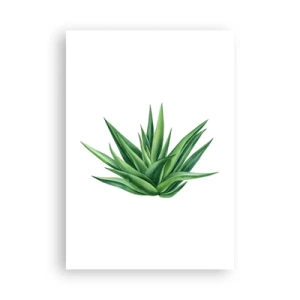 Affiche - Poster - Vert – force – vie - 70x100 cm