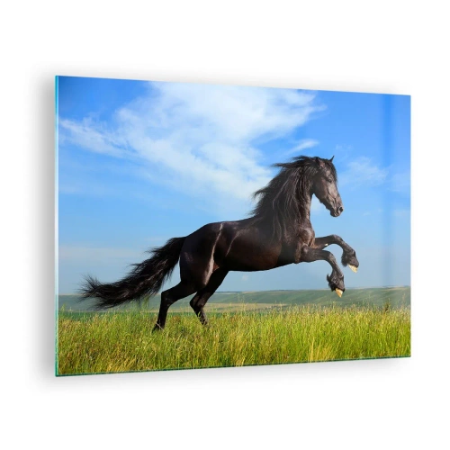Impression sur verre - Image sur verre - Un cheval noir galopant contre un ciel bleu et une prairie verte. - 70x50cm - Un manifeste de liberté passionnant - Décoration murale moderne pour le salon et la chambre ARTTOR