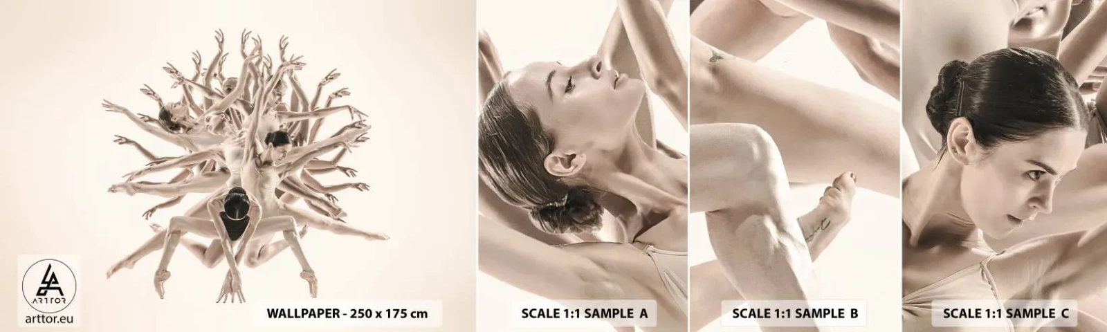 Échantillon De Papier Peint Standard Eco - S'épanouir en danse - Abstraction, Morceau, Ballet - 100x30 cm