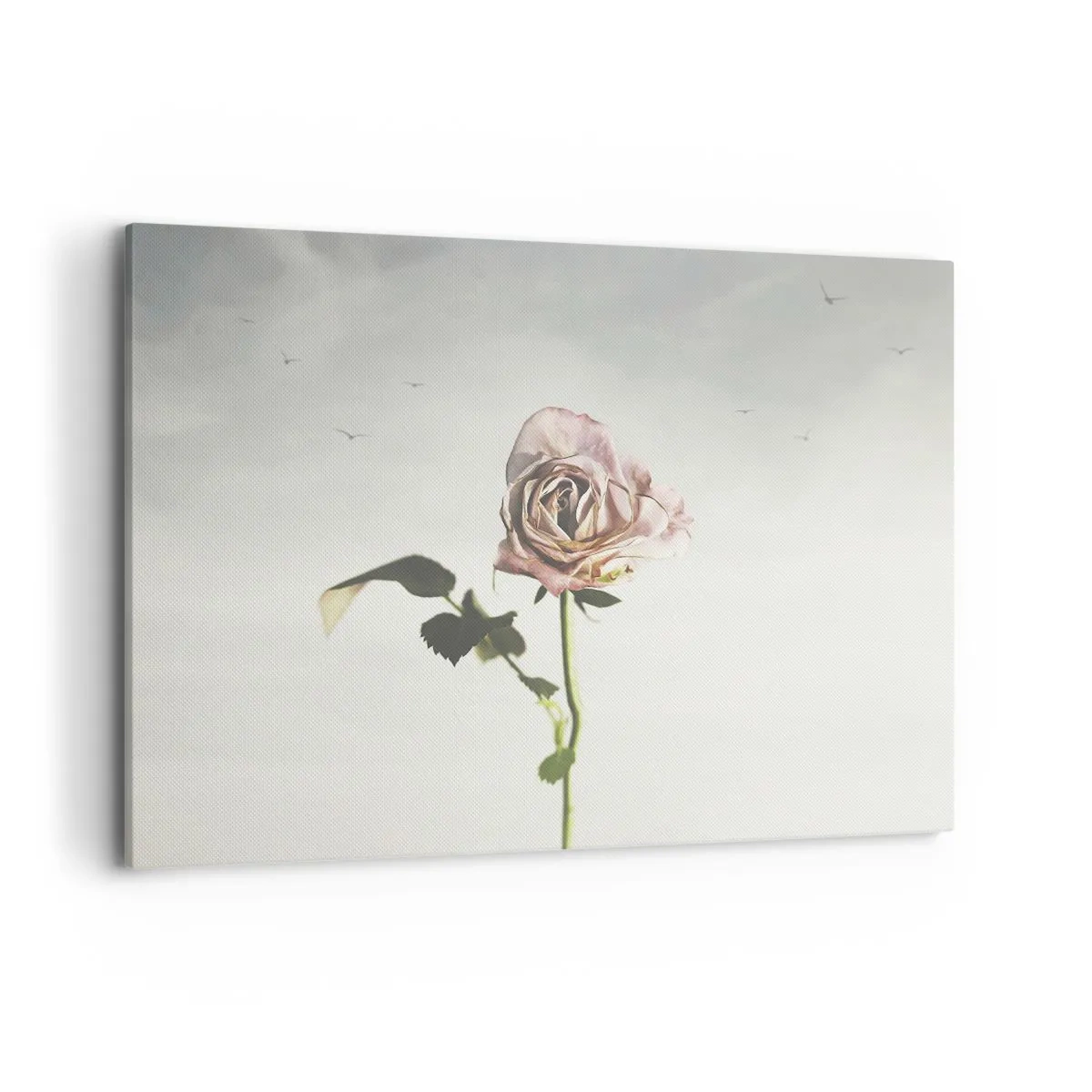 Impression sur toile - Image sur toile - Une rose délicate contre un ciel lumineux avec des oiseaux en vol - 100x70cm - Bonjour de printemps - Décoration murale moderne pour le salon et la chambre ARTTOR