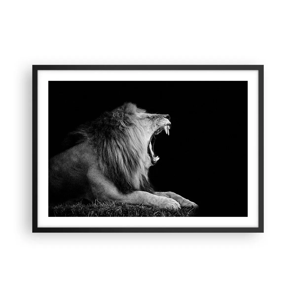 Affiche dans un cadre noir - Poster - Un lion rugissant sur fond noir dans des tons noir et blanc - 70x50cm - Sans aucun doute - Décoration murale moderne pour le salon et la chambre ARTTOR