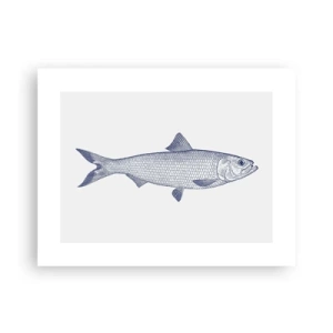 Affiche - Poster - Salutations des mers du nord - 40x30 cm