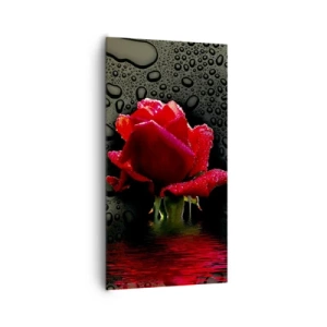Impression sur toile - Image sur toile - Rouge et noir - 65x120 cm