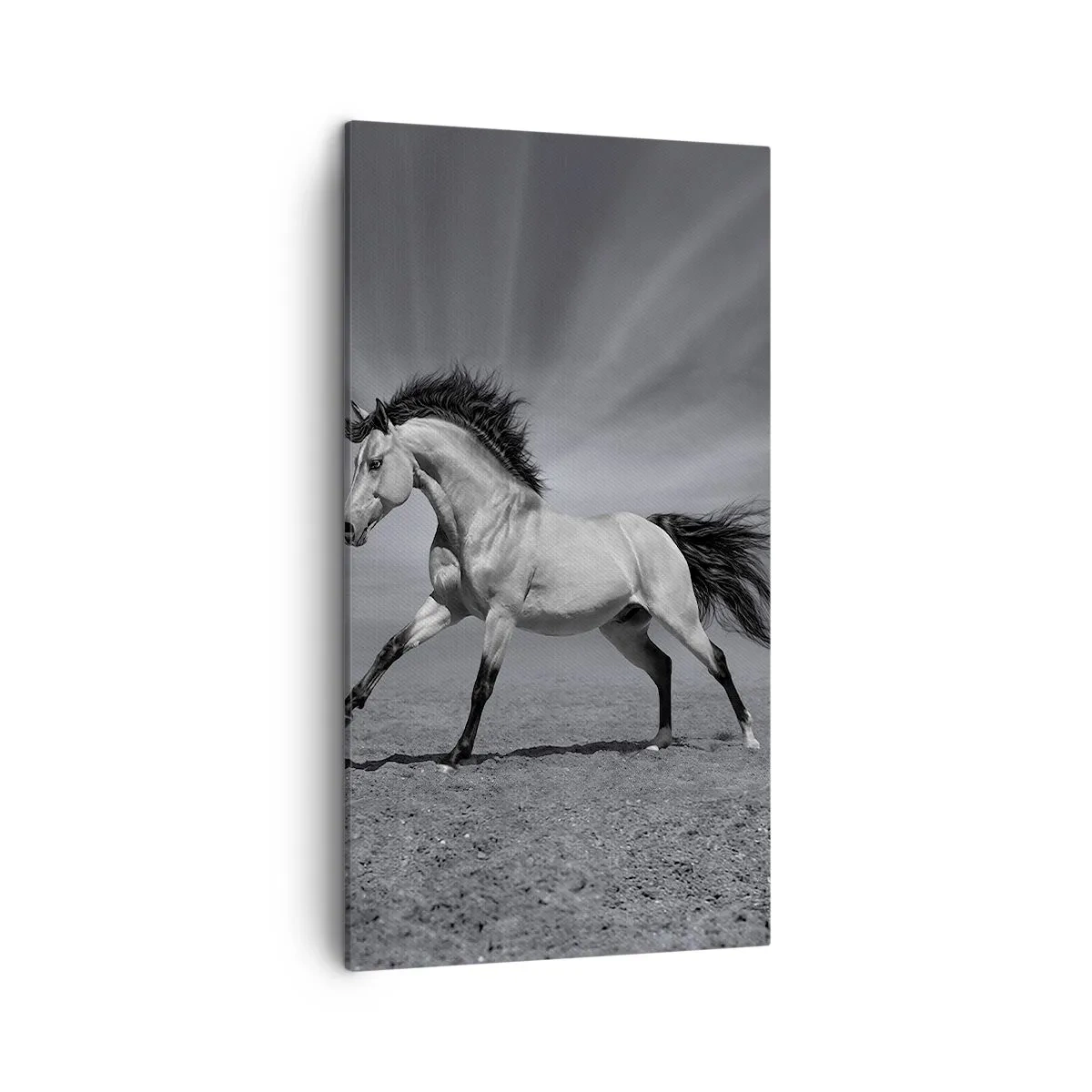 Impression sur toile - Image sur toile - Né pour séduire - 45x80 cm