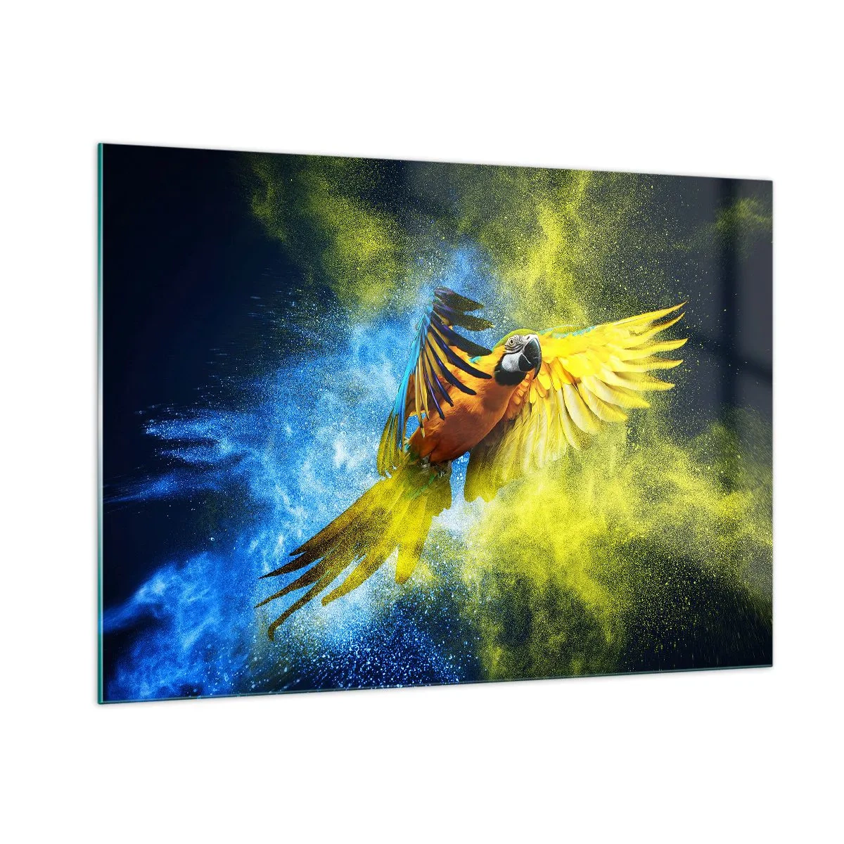 Impression sur verre - Image sur verre - Un perroquet coloré en vol sur un fond jaune et bleu - 100x70cm - Dans la poussière bleue et dorée - Décoration murale moderne pour le salon et la chambre ARTTOR