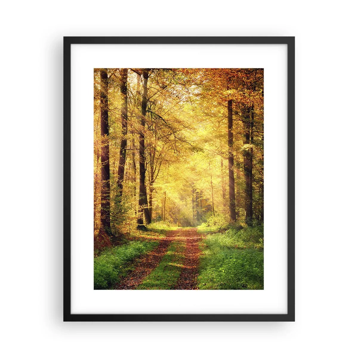Affiche dans un cadre noir - Poster - Silence d'or en forêt - 40x50 cm