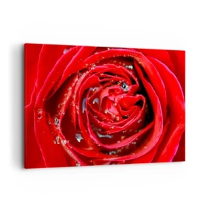Impression sur toile - Image sur toile - Gros plan d'une rose rouge avec des gouttes d'eau sur les pétales - 100x70cm - Dans les gouttes de rosée - Décoration murale moderne pour le salon et la chambre ARTTOR