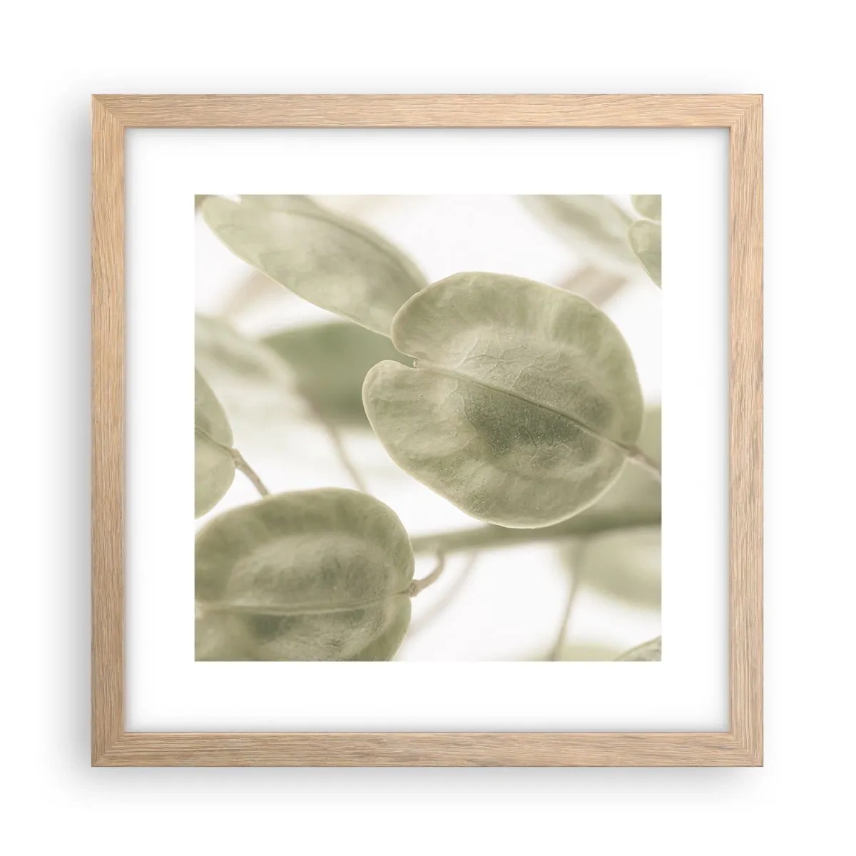 Affiche dans un chêne clair - Poster - Au commencement il y avait des feuilles... - 30x30 cm