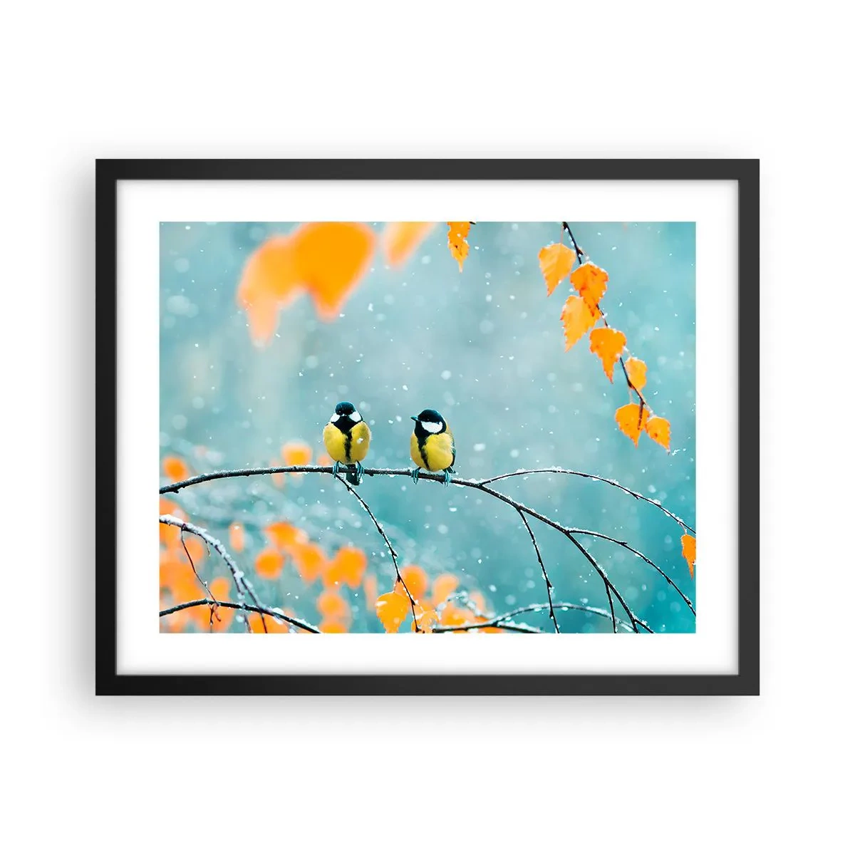 Affiche dans un cadre noir - Poster - Potins d'oiseaux - 50x40 cm