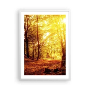 Affiche dans un cadre blanc - Poster - Vers la clairière dorée - 50x70 cm