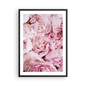 Affiche dans un cadre noir - Poster - Gros plan de délicates pivoines roses en pleine floraison - 50x70cm - Caliné et parfumé - Décoration murale moderne pour le salon et la chambre ARTTOR