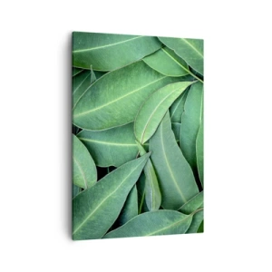 Impression sur toile - Image sur toile - Gros plan de feuilles vertes créant un motif naturel - 50x70cm - Juteux et frais - Décoration murale moderne pour le salon et la chambre ARTTOR