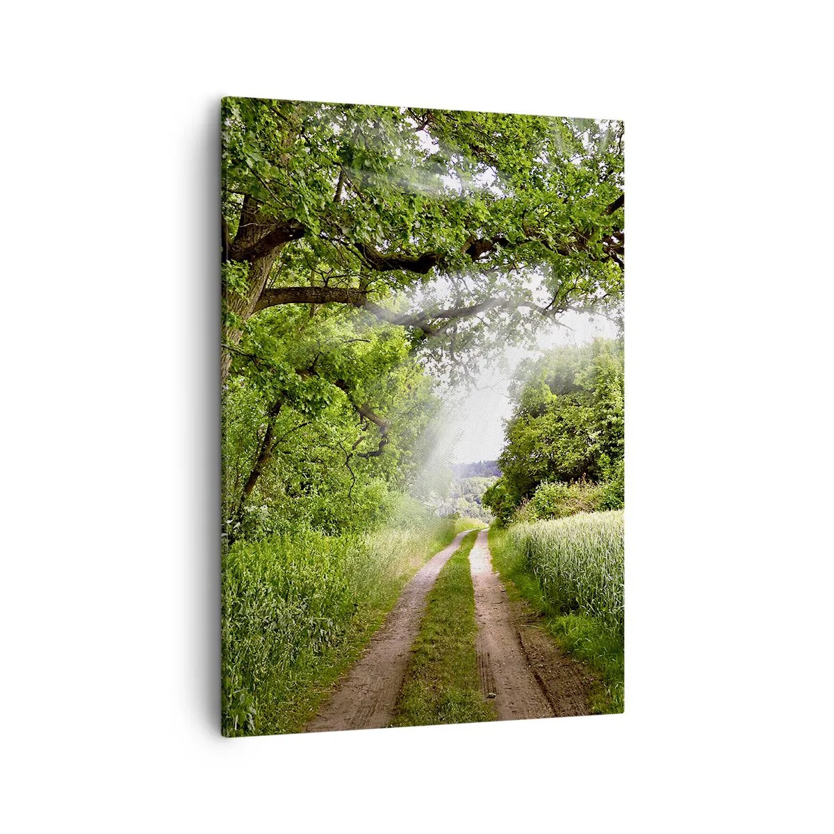 Impression sur toile - Image sur toile - Un chemin de terre parmi les arbres verts et la lumière du soleil - 50x70cm - Et in Arcadia ego - Décoration murale moderne pour le salon et la chambre ARTTOR