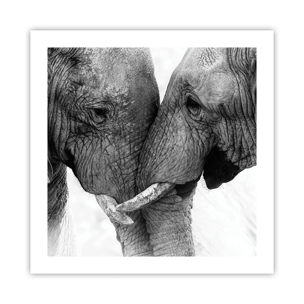 Affiche - Poster - Confession sincère - 50x50 cm