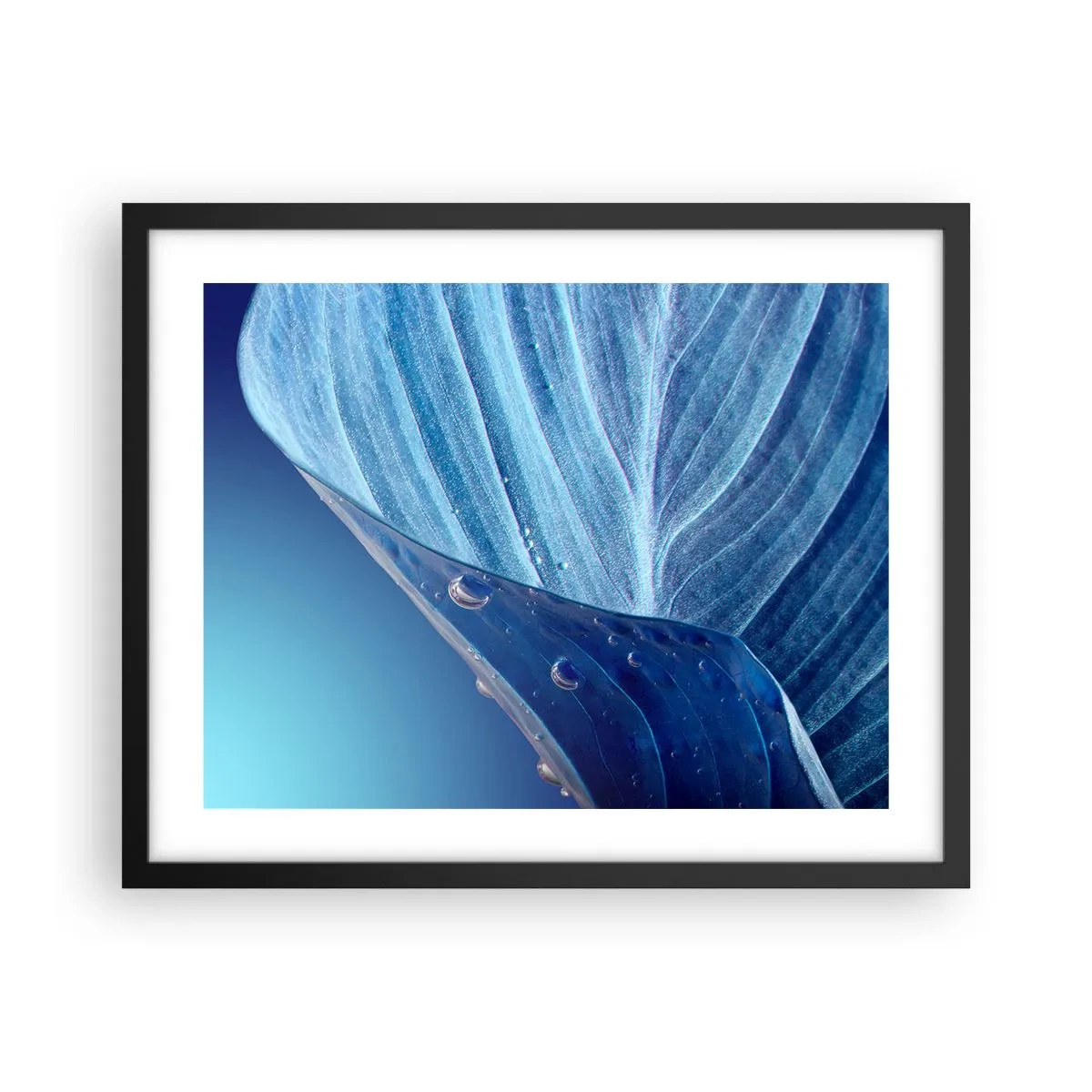 Affiche dans un cadre noir - Poster - Gouttes cachées du bleu - 50x40 cm
