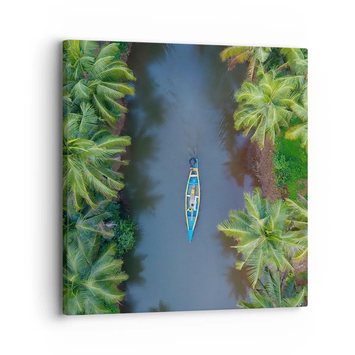 Impression sur toile - Image sur toile - Sur un sentier tropical - 30x30 cm