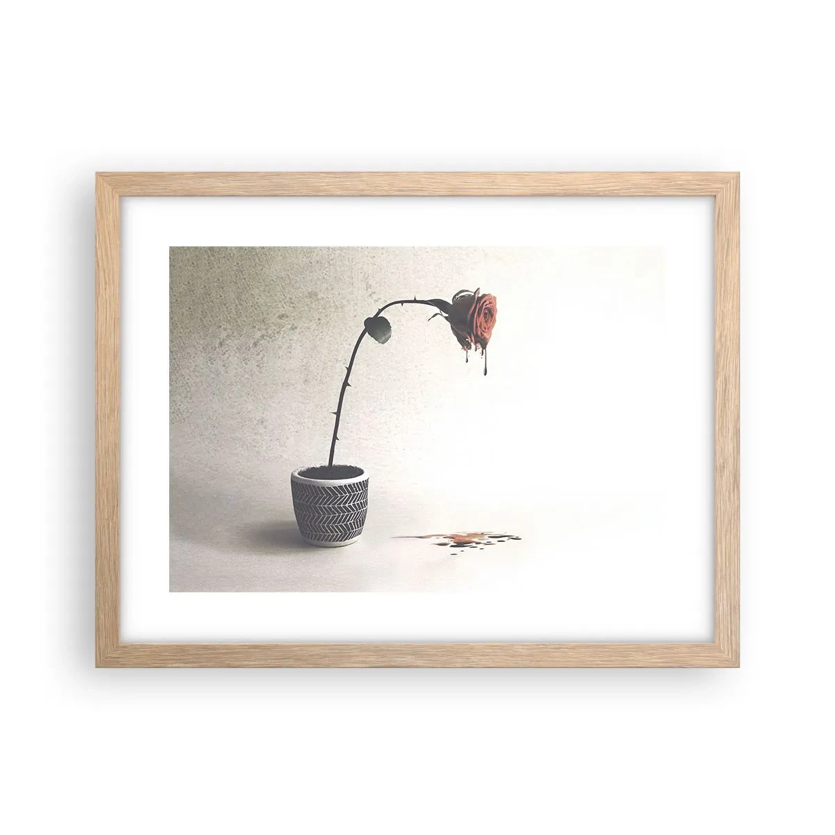 Affiche dans un chêne clair - Poster - Rosa dolorosa - 40x30 cm