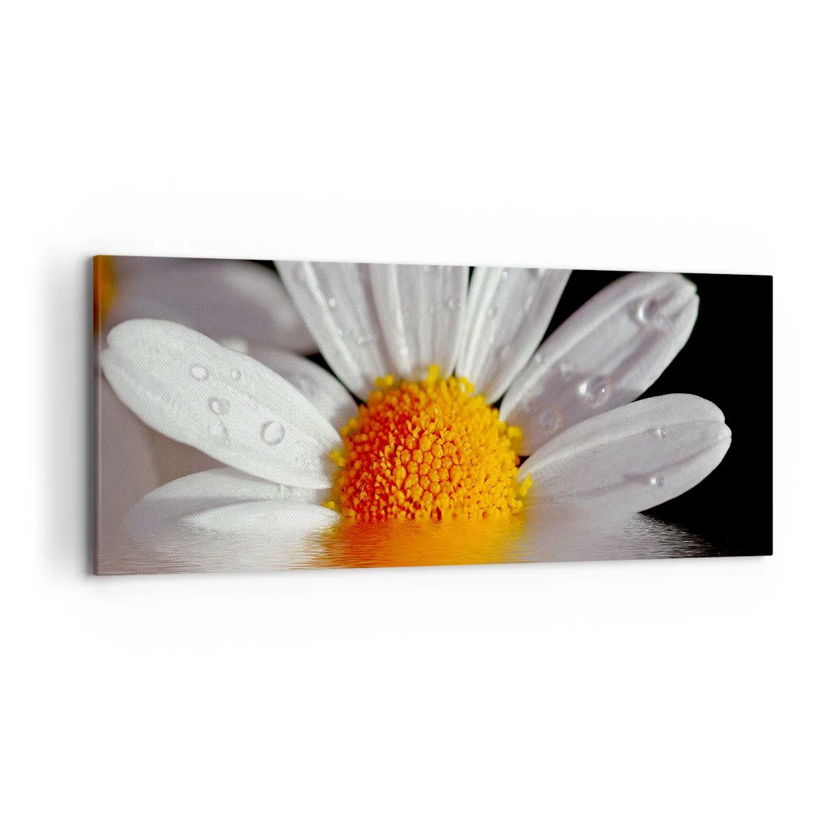 Impression sur toile - Image sur toile - Une marguerite blanche avec des gouttes d'eau immergées dans un reflet d'eau - 120x50cm - Le soleil levant des marguerites - Décoration murale moderne pour le salon et la chambre ARTTOR