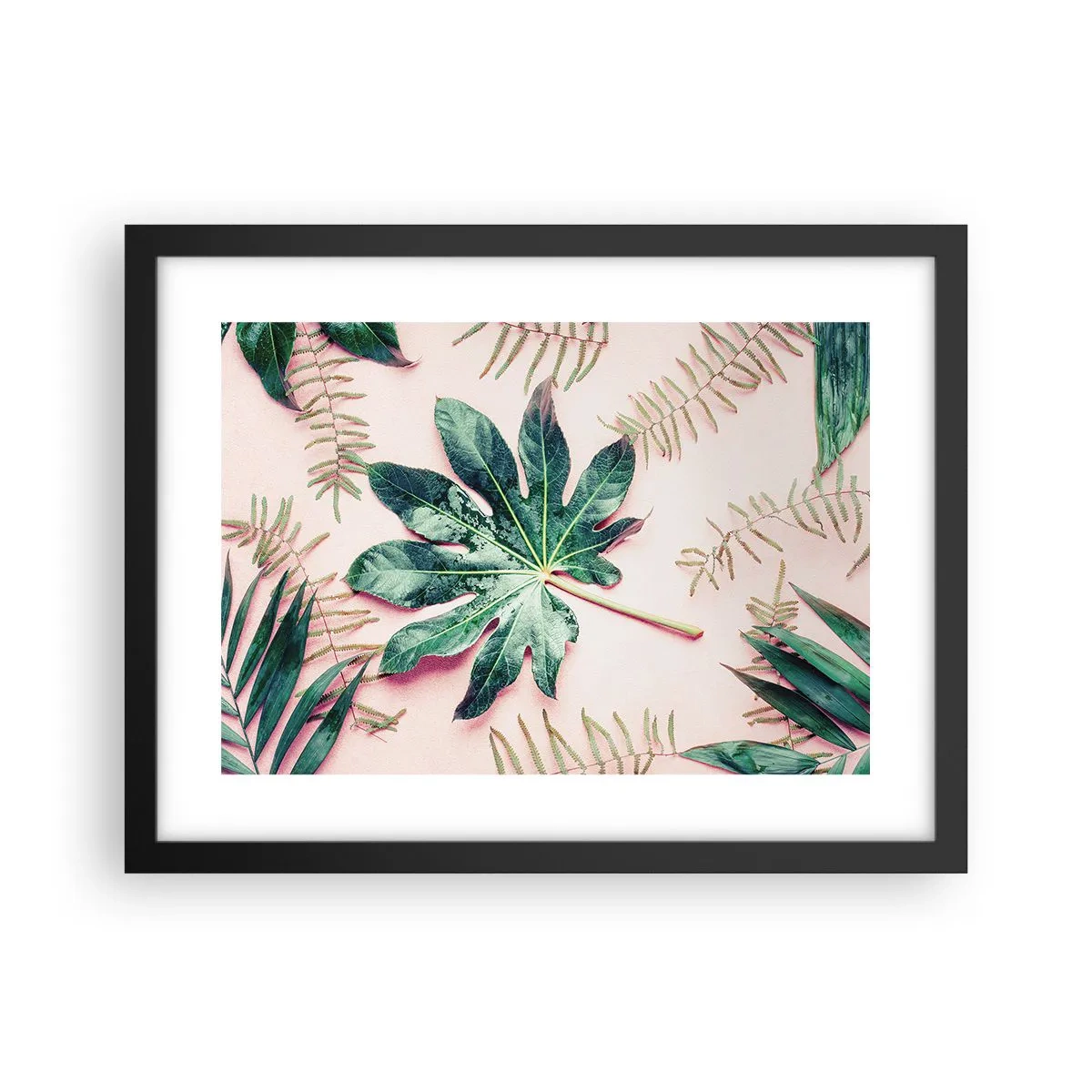 Affiche dans un cadre noir - Poster - Étude de verdure sur fond rose - 40x30 cm