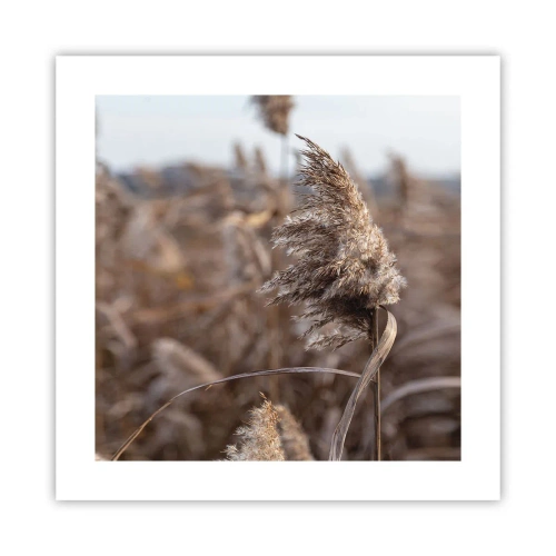 Affiche - Poster - Il est temps de s'envoler avec le vent - 40x40 cm