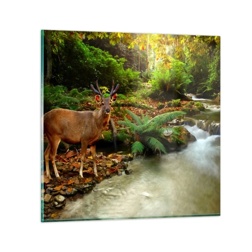 Impression sur verre - Image sur verre - Bienvenue dans mon monde - 70x70 cm