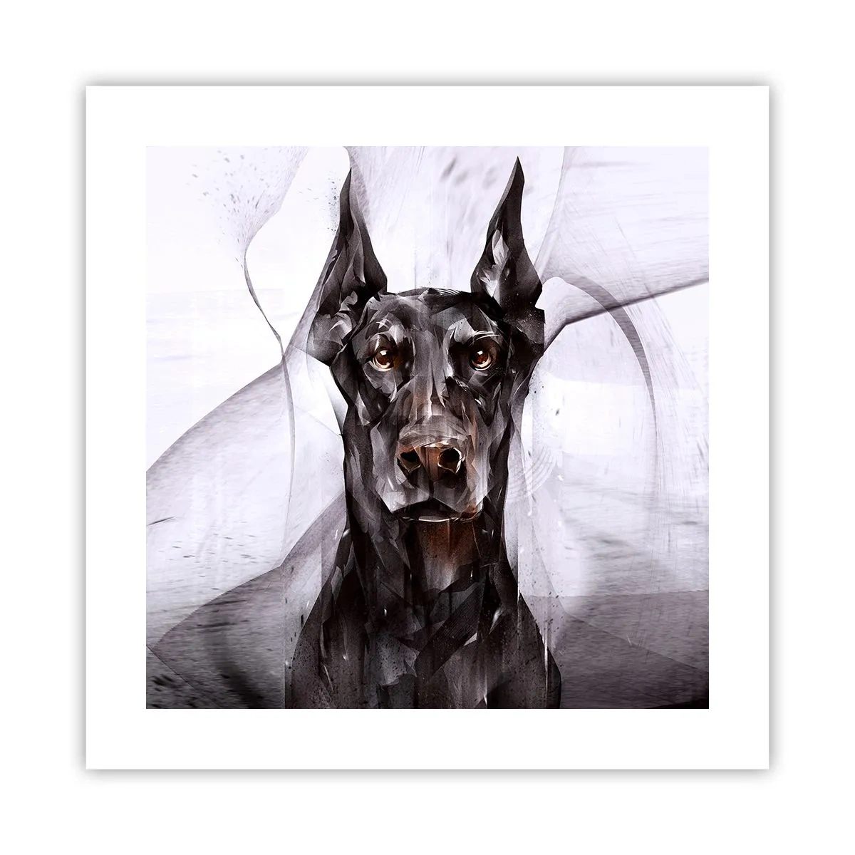 Affiche - Poster - Né noble - 40x40 cm