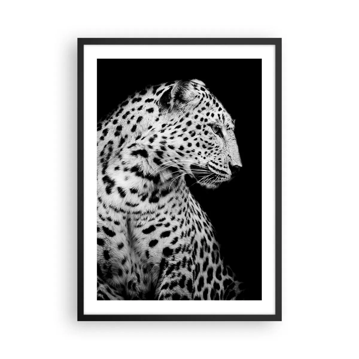 Affiche dans un cadre noir - Poster - Portrait noir et blanc d'un léopard sur fond noir - 50x70cm - Presque un profil parfait! - Décoration murale moderne pour le salon et la chambre ARTTOR