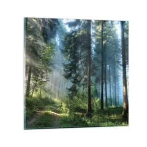 Impression sur verre - Image sur verre - Rayonnant le matin - 30x30 cm