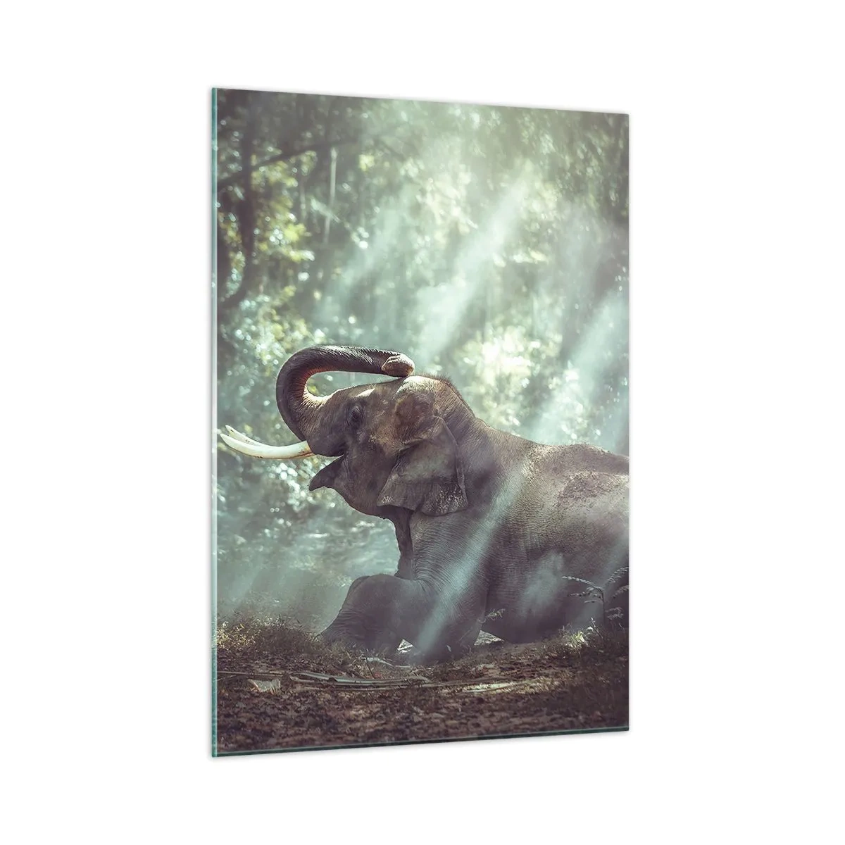 Impression sur verre - Image sur verre - Un garçon avec un livre et un éléphant dans un décor forestier - 50x70cm - Et écoute ça… - Décoration murale moderne pour le salon et la chambre ARTTOR