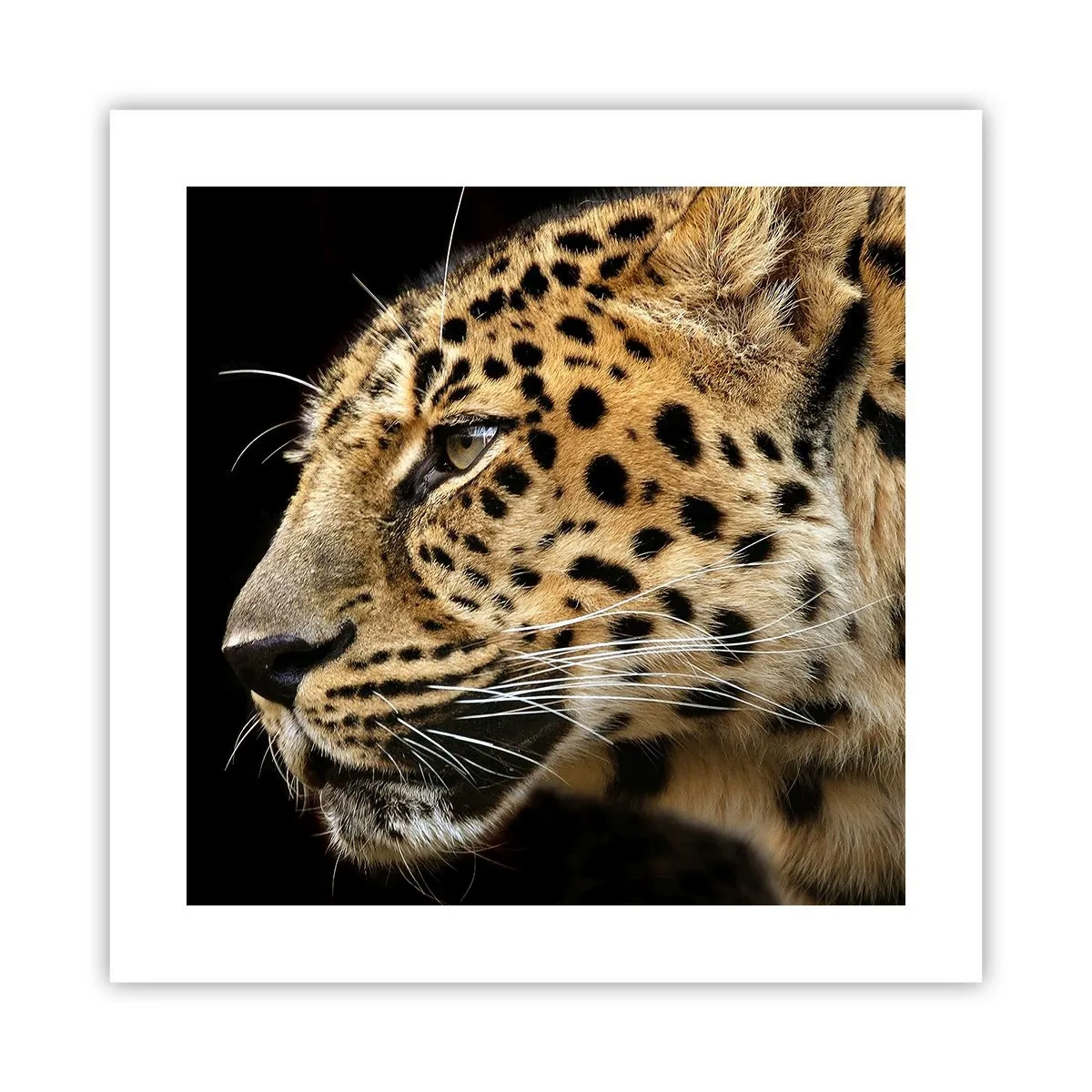 Affiche - Poster - Calme, concentré, prêt - 40x40 cm