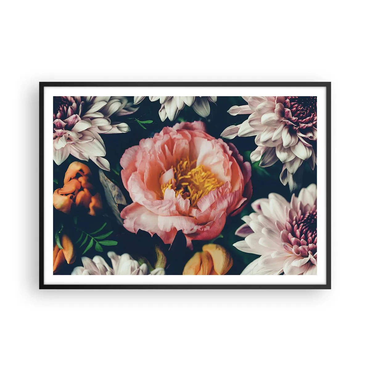 Affiche dans un cadre noir - Poster - Composition florale avec pivoines et chrysanthèmes sur fond sombre - 100x70cm - Splendeur baroque - Décoration murale moderne pour le salon et la chambre ARTTOR