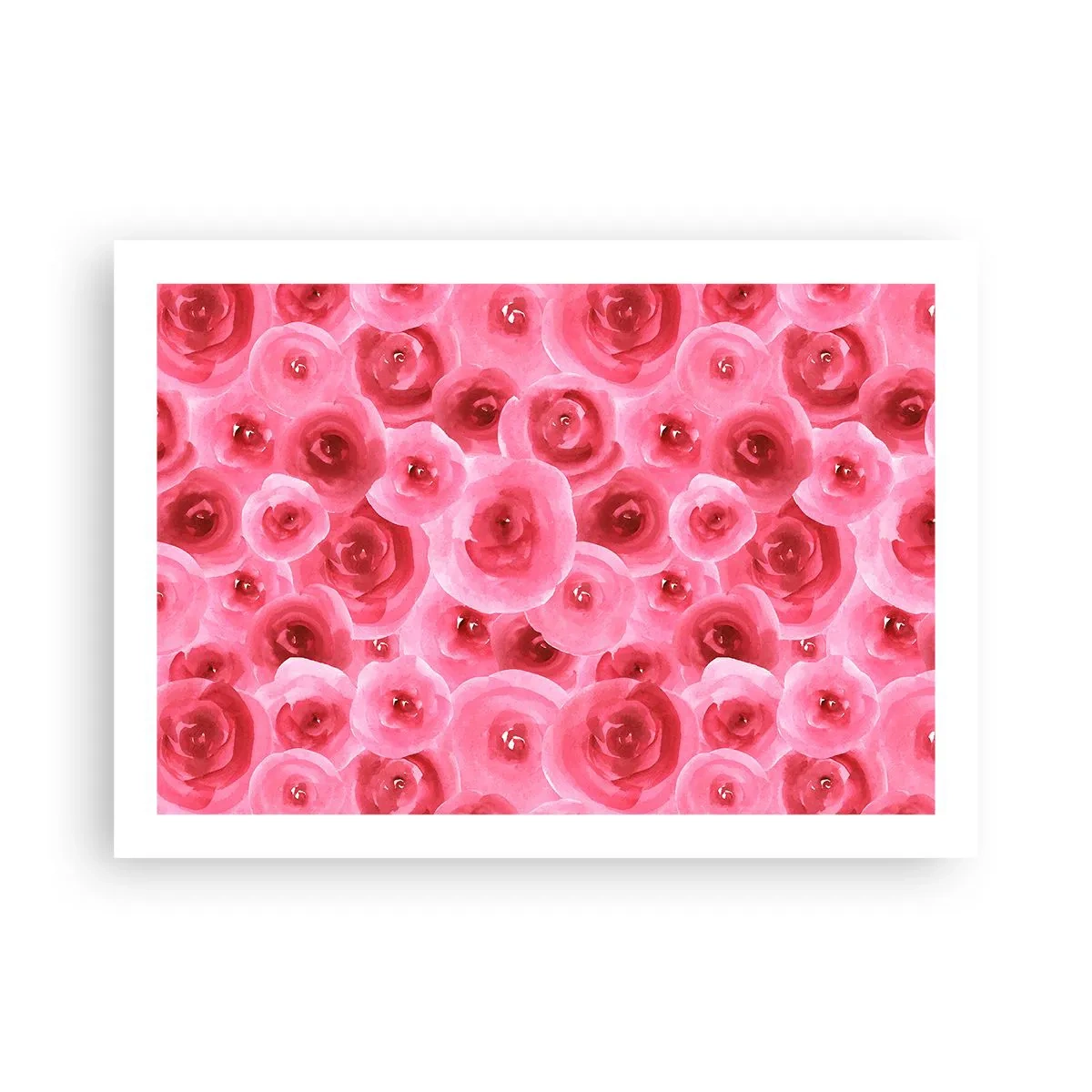 Affiche - Poster - Roses en-haut et en-bas - 70x50 cm