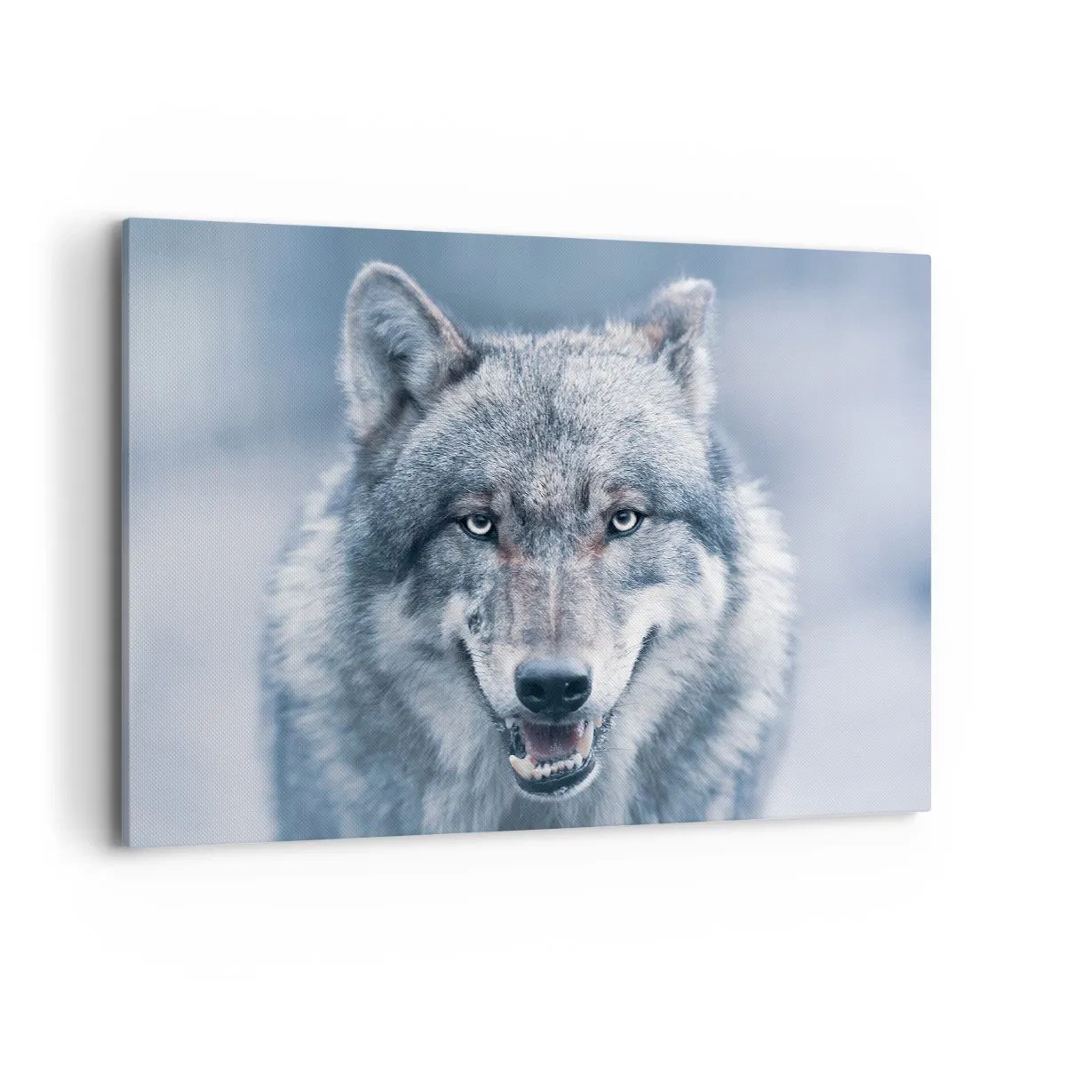 Impression sur toile - Image sur toile - Un loup au regard intense dans un paysage hivernal - 100x70cm - Relèverez-vous le défi ? - Décoration murale moderne pour le salon et la chambre ARTTOR